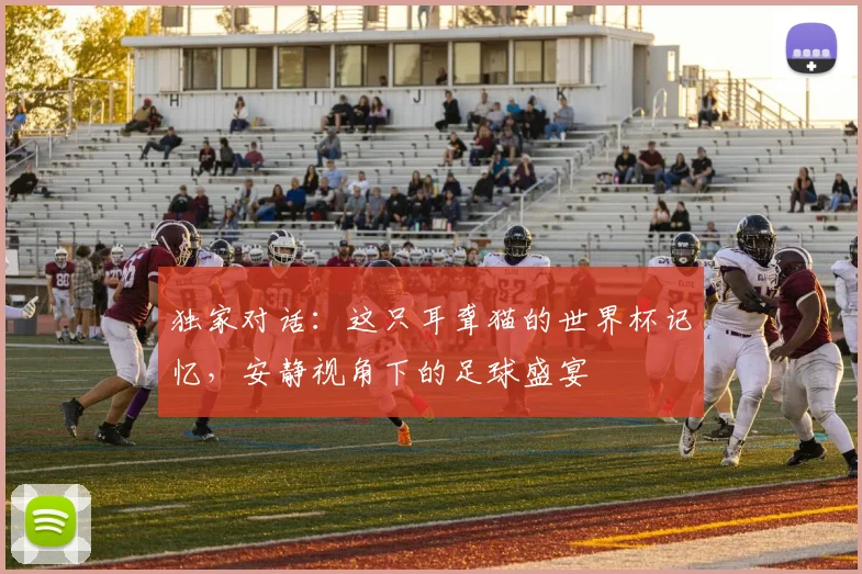 独家对话：这只耳聋猫的世界杯记忆，安静视角下的足球盛宴