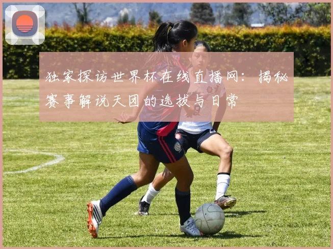 独家探访世界杯在线直播网：揭秘赛事解说天团的选拔与日常