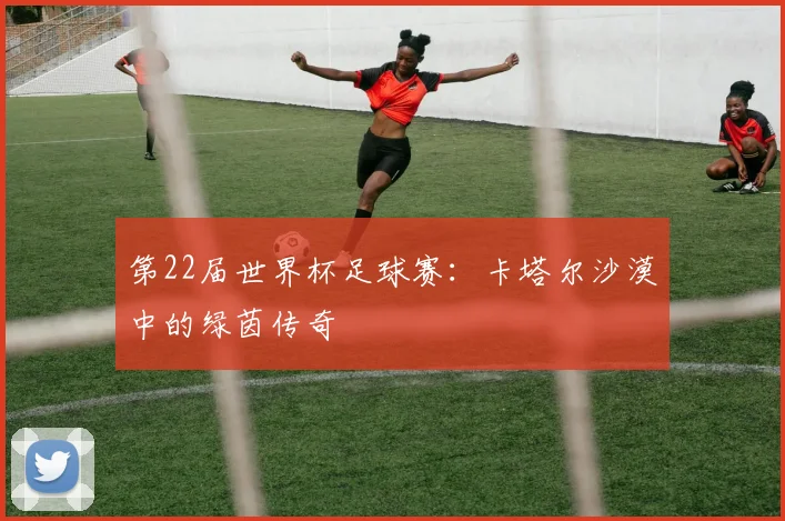 第22届世界杯足球赛：卡塔尔沙漠中的绿茵传奇