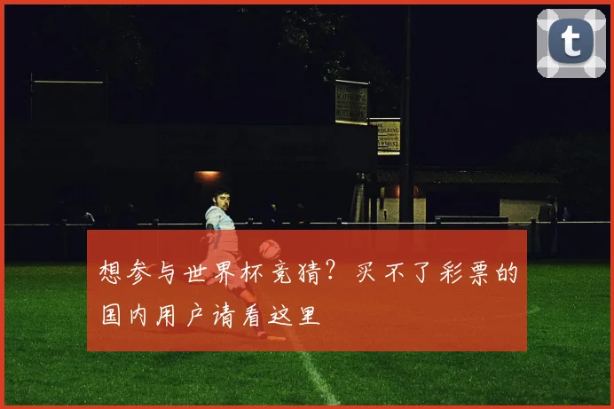 想参与世界杯竞猜？买不了彩票的国内用户请看这里