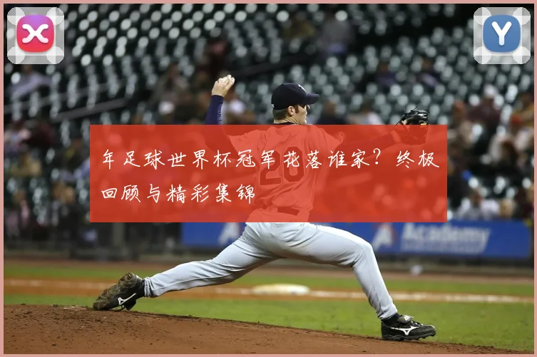 年足球世界杯冠军花落谁家？终极回顾与精彩集锦