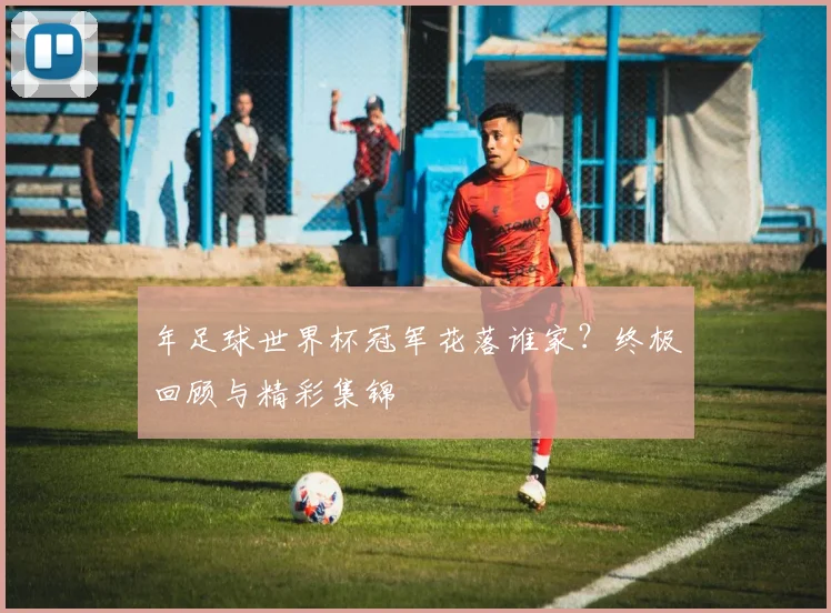 年足球世界杯冠军花落谁家？终极回顾与精彩集锦