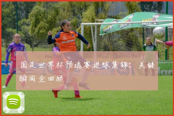 国足世界杯预选赛进球集锦:关键瞬间全回顾