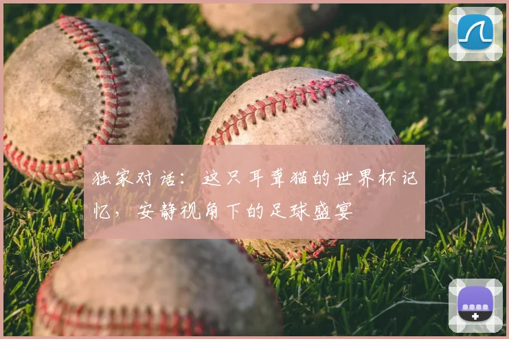 独家对话：这只耳聋猫的世界杯记忆，安静视角下的足球盛宴
