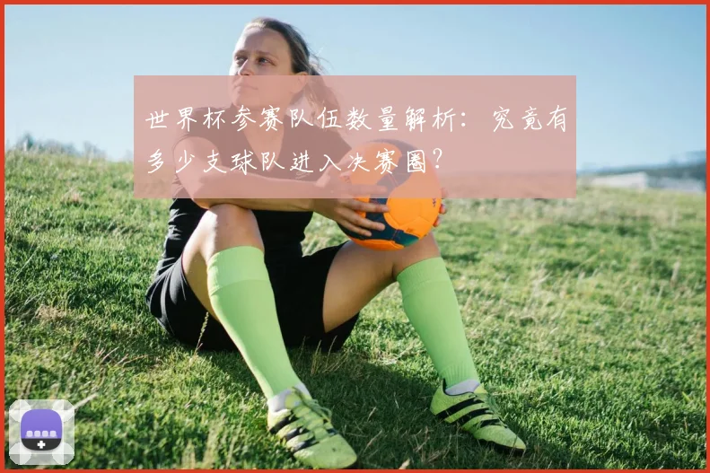 世界杯参赛队伍数量解析：究竟有多少支球队进入决赛圈？