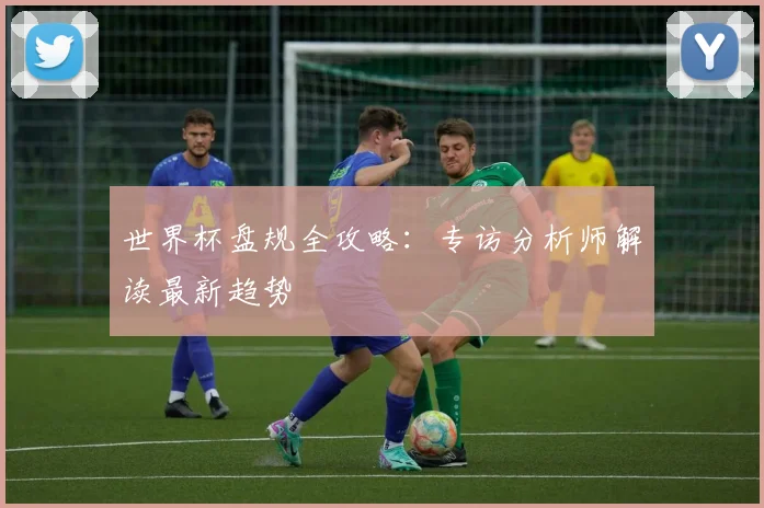 世界杯盘规全攻略：专访分析师解读最新趋势