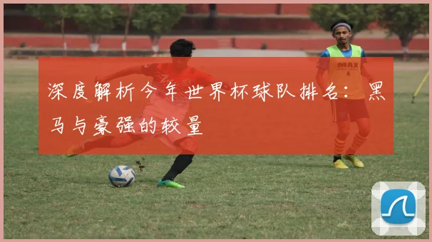 深度解析今年世界杯球队排名：黑马与豪强的较量