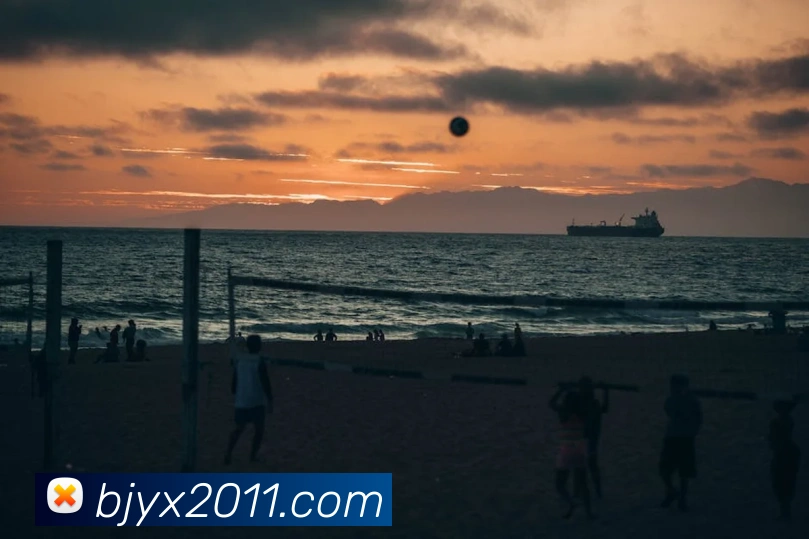 App Interface Preview